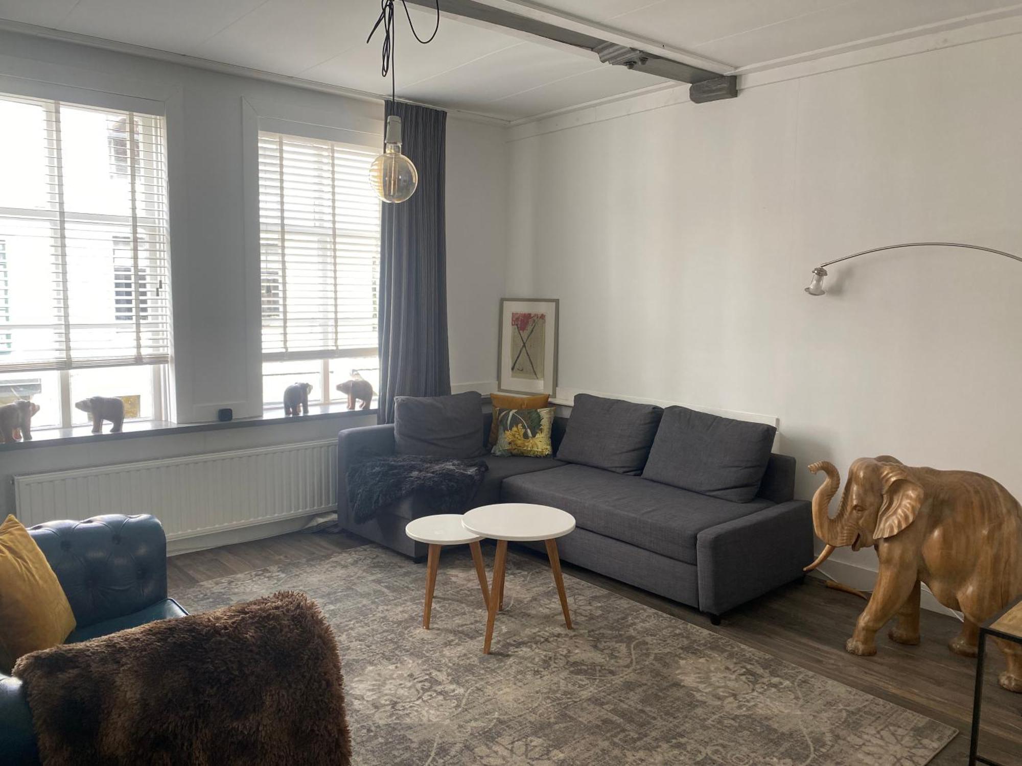 Apartment Historical Loft *